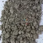  Śruta słonecznikowa 