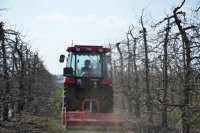 Na co zwrócić uwagę podczas wyboru ciągnika sadowniczego?