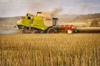 Kultowe kombajny zbożowe w Polsce