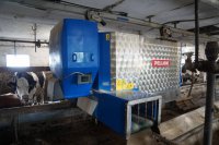 Automatyczny system skarmiania - Oszczędność czasu czy zbędne koszty?