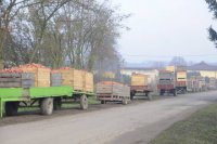 Sadowniczego końca świata nie będzie