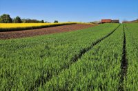 Nowe zasady dopłat bezpośrednich za rok 2023