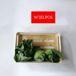 Sprzedam skrzynki drewniane do kapusty Sprzedam skrzynki drewniane do kapusty