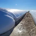 Rękaw foliowy kiszonkarski 9' / 148kg Rękaw foliowy kiszonkarski 9' / 148kg