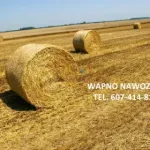 WAPNO WĘGLANOWE Z MAGNEZEM Z KOPALNI HOLCIM RADKOWICE  WAPNO WĘGLANOWE Z MAGNEZEM Z KOPALNI HOLCIM RADKOWICE