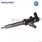 Common Rail Fuel Injector 0 445 120 120