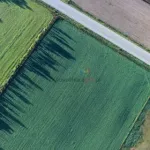 Kreda nawozowa Granucal Omya dostępna luzem Kreda nawozowa Granucal Omya dostępna luzem