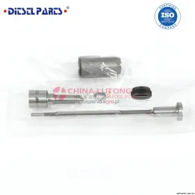 Diesel Control Valve F00ZC01319