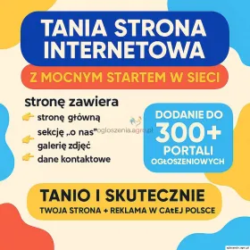 Tania strona internetowa z mocnym startem w sieci