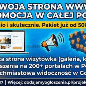 Strona internetowa od 500 PLN z mocną promocją na START/ FAKTURA