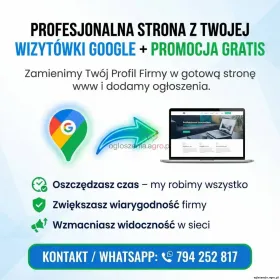 Twoja wizytówka Google jako gotowa strona www + dodanie ogłoszeń