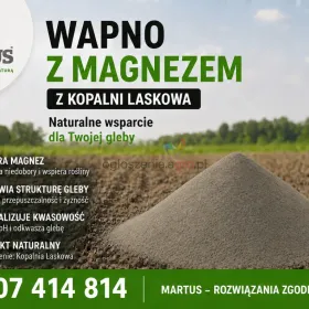 Wapno węglanowe z magnezem z Kopalni Laskowa