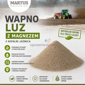 Wapno węglanowe z magnezem z Kopalni Jaźwica 