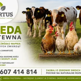 KREDA PASTEWNA 
