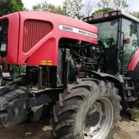 Części skrzynia Massey Ferguson 8210,8220,8240,8250,8260,8270,8280