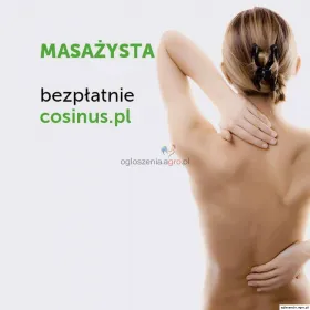 Masażysta-Cosinus