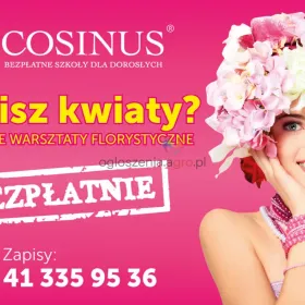 Florysta- Cosinus