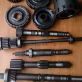 Wałki tryby kosze skrzyni biegów Same Titan145,150,160,165,190 części