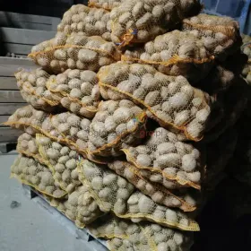 Ziemniaki Tajfun Jurek ładne grube faktura