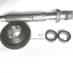 Zestaw WOM Renault 110,54 120,54 133,54 155,54 Temis 550,610,630, 650