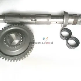 Zestaw WOM Z45 Renault 103,54 106,54 110,54 120,54 133,54 155,54