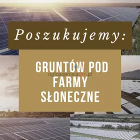 Kupimy/wydzierżawimy grunty pod farmy słoneczne