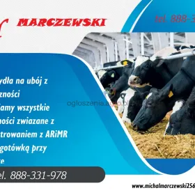 Skup bydła