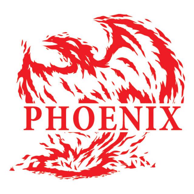Phoenix Sp. z o.o. Sp.k.