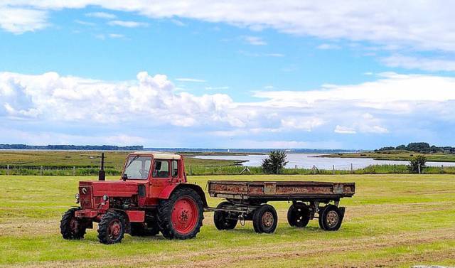 Złote Medale targów Agro-Premiery 2025 – znamy nagrodzonych!