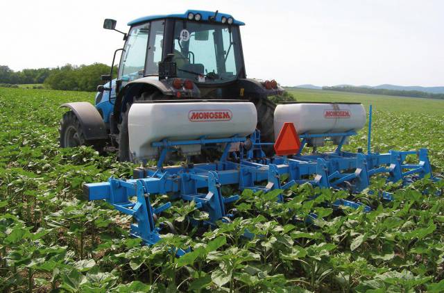 Uprawa jagody kamczackiej (cz. I) Zalecenia uprawowe