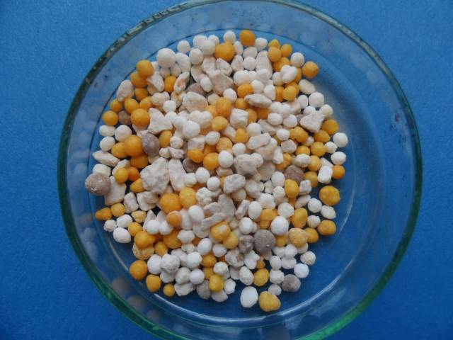 Kruszarki – Charakterystyka