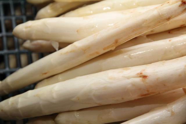 Jak skutecznie zabezpieczyć plantację borówki wysokiej przed czynnikami ryzyka?