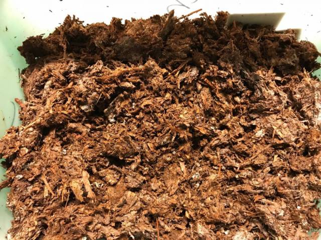 Uprawa soi nie dla każdego? 