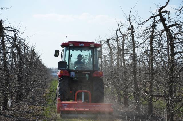 Jak stosowanie nawozów mineralnych wpływa na odczyn gleby?
