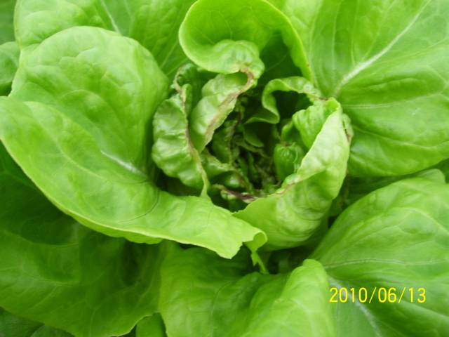 200 tys. zł bezzwrotnej premii na rozpoczęcie działalności rolniczej w programie Młody Rolnik 2023