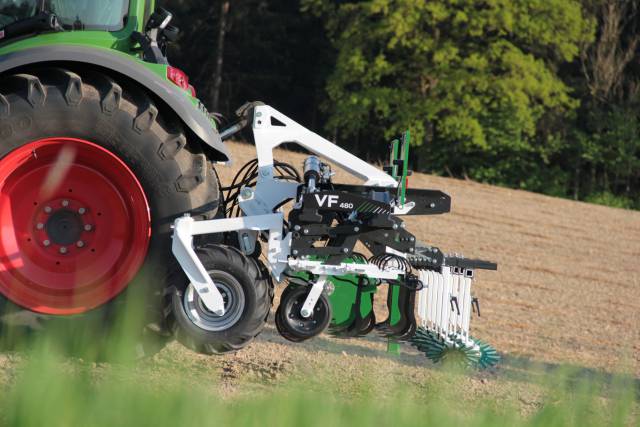 Kwaśna zgnilizna jagód