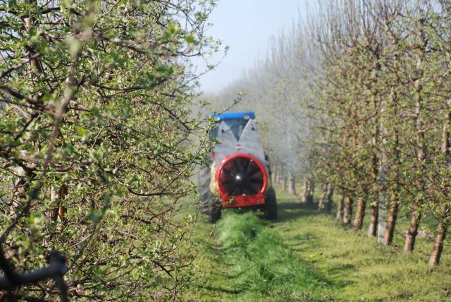 Pomoc suszowa. Już jutro upływa termin na złożenie wniosku do ARiMR! 