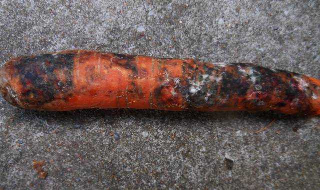 Jak dociążyć ciągnik rolniczy?