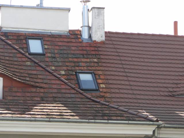 Marchew w przechowalni - Jak zapobiegać chorobom