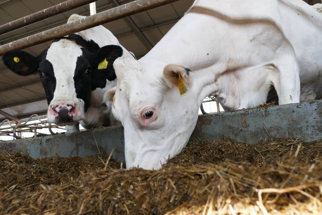 Opryski w sadach - Jak poprawić efektywność zabiegu?