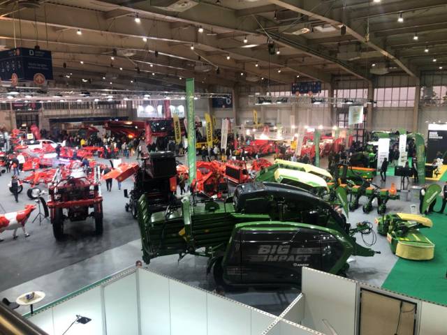 Jak skutecznie zabezpieczyć plantację borówki wysokiej przed czynnikami ryzyka?