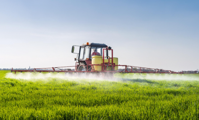 Monitorowanie obecności szkodników na plantacjach warzyw - rodzaje pułapek dostępnych na rynku