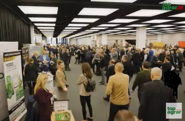 Dopłaty do zboża 2024 – zróżnicowane stawki pomocy